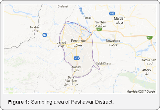 Click here to view Large Figure 1