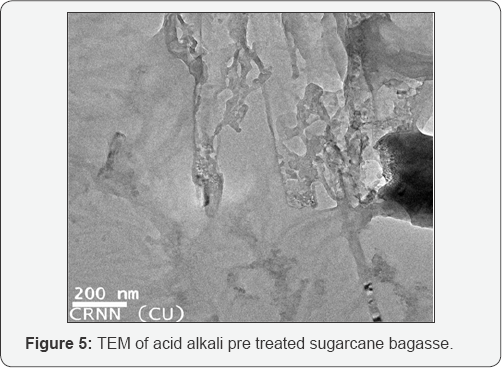 Click here to view Large Figure 5