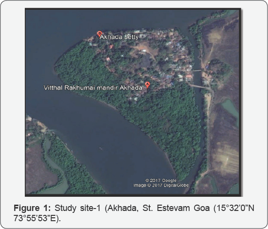 Click here to view Large Figure 1