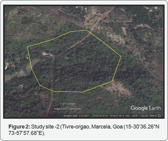 Click here to view Large Figure 1