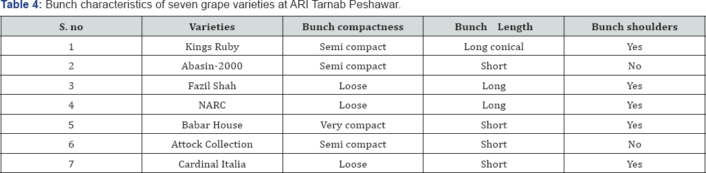 Click here to view Large Table 4