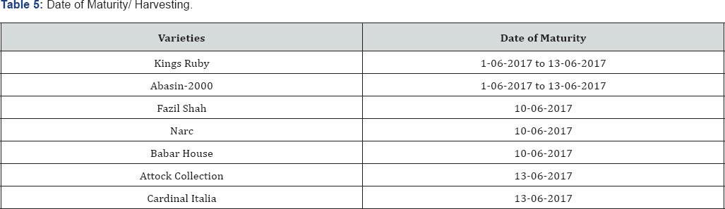 Click here to view Large Table 5