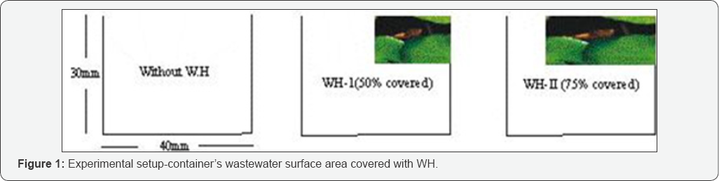 Click here to view Large Figure 1