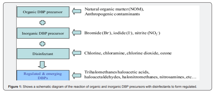 Click here to view Large Figure 1