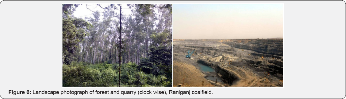 Click here to view Large Figure 1