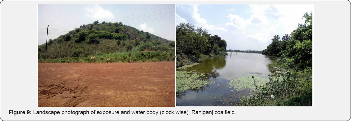 Click here to view Large Figure 1