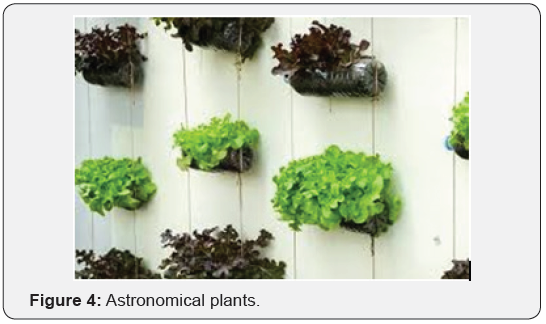 Click here to view Large Figure 4