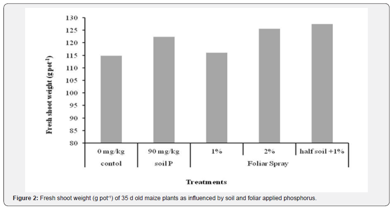 Click here to view Large Figure 2
