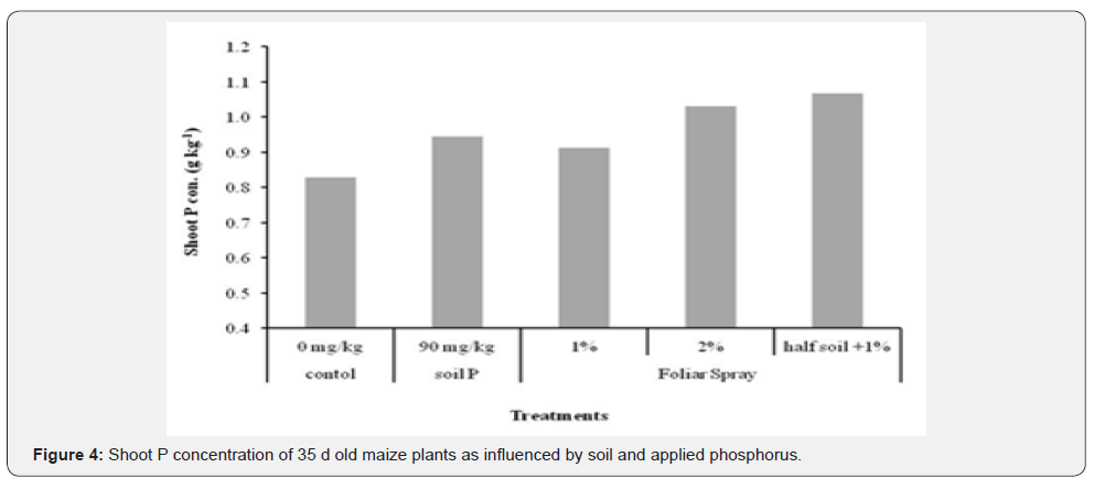 Click here to view Large Figure 4