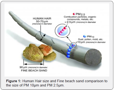 Click here to view Large Figure 1