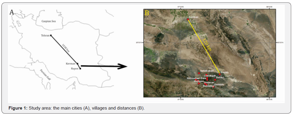 Click here to view Large Figure 1