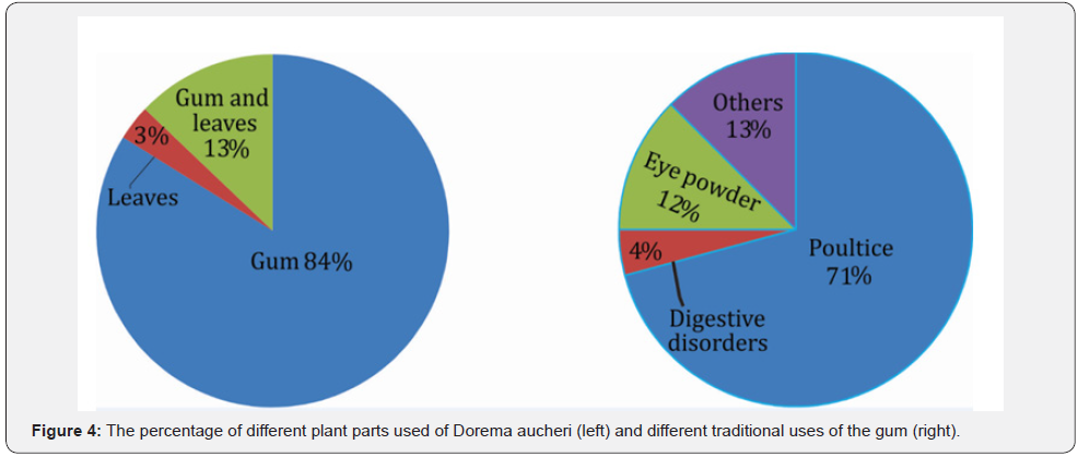 Click here to view Large Figure 4