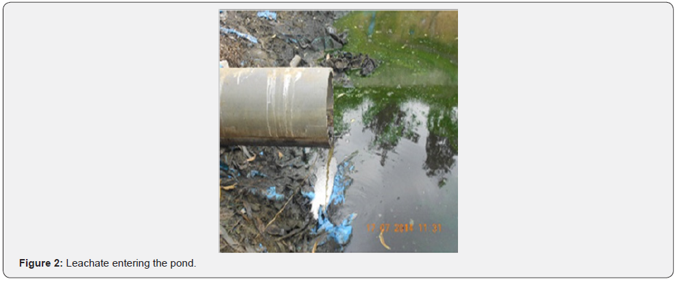 Click here to view Large Figure 2