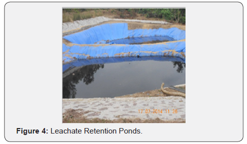 Click here to view Large Figure 4