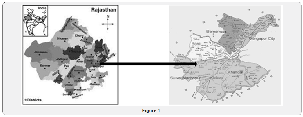 Click here to view Large Figure 1