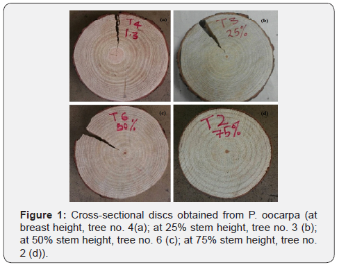 Click here to view Large Figure 1