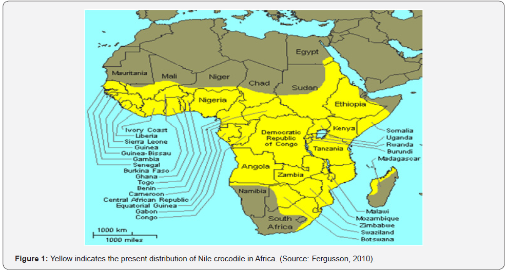 Click here to view Large Figure 1