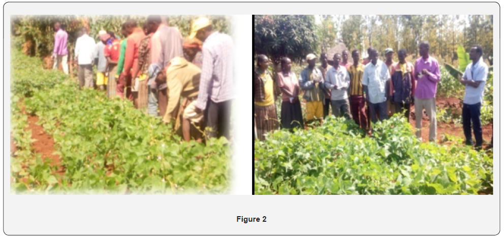 Click here to view Large Figure 2