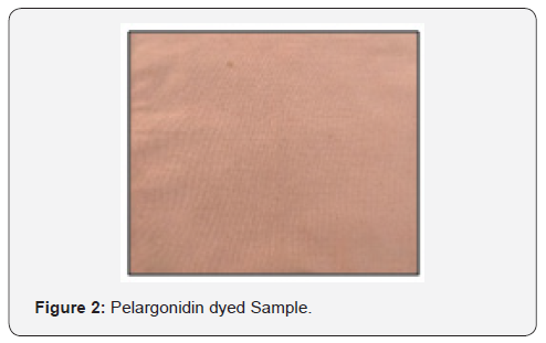 Click here to view Large Figure 2