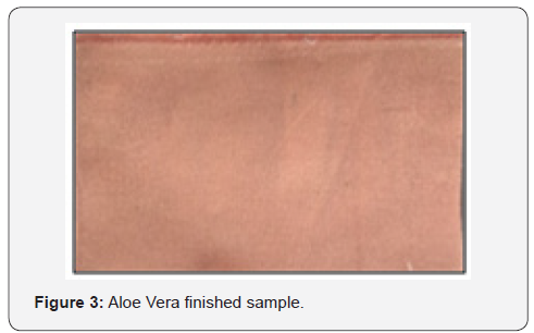 Click here to view Large Figure 3