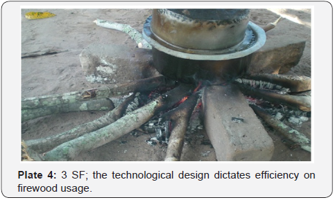 Click here to view Large Plate 4