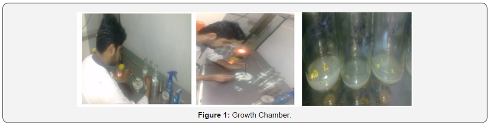 Click here to view Large Figure 1