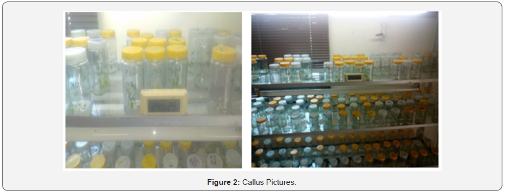 Click here to view Large Figure 2