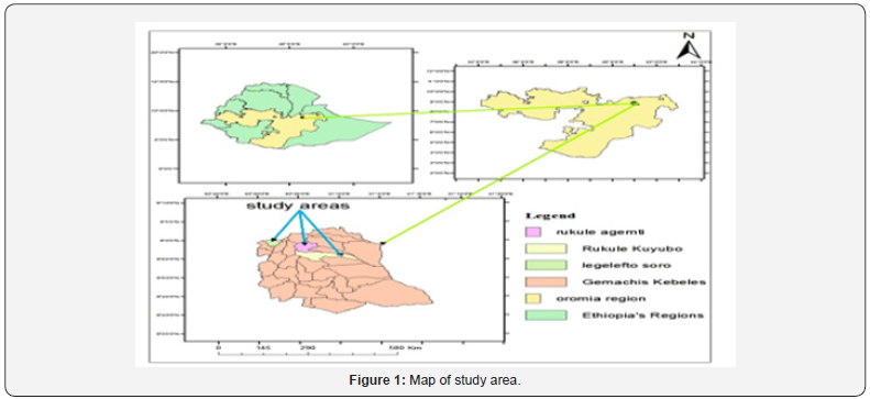 Click here to view Large Figure 1
