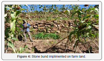 Click here to view Large Figure 4