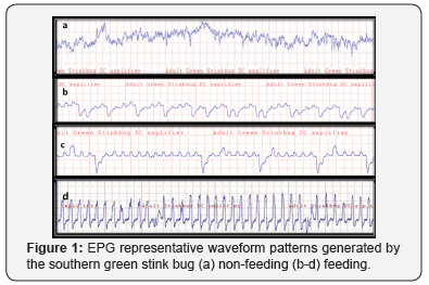 Click here to view Large Figure 1