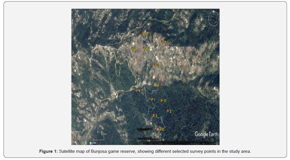 Click here to view Large Figure 1