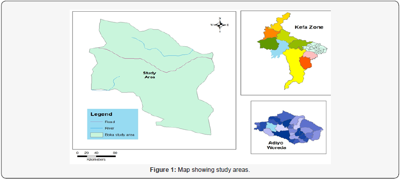 Click here to view Large Figure 1