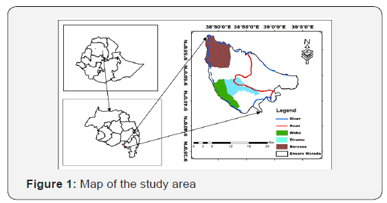 Click here to view Large Figure 1