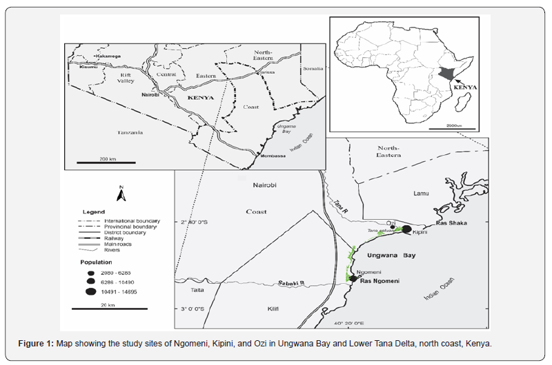 Click here to view Large Figure 1