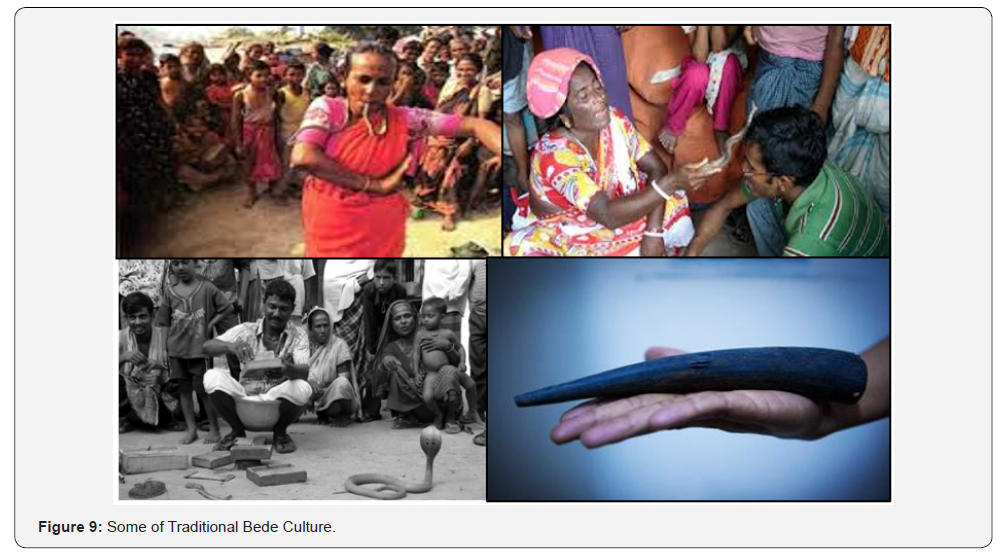 Click here to view Large Figure 9