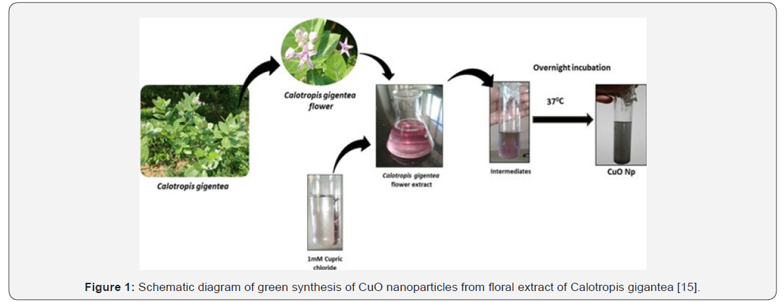 Click here to view Large Figure 1