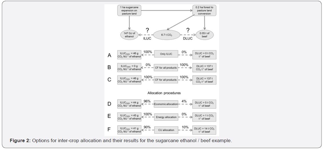 Click here to view Large Figure 2