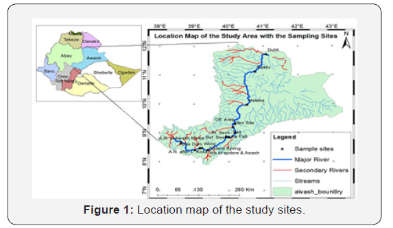 Click here to view Large Figure 1
