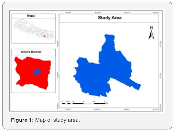 Click here to view Large Figure 1