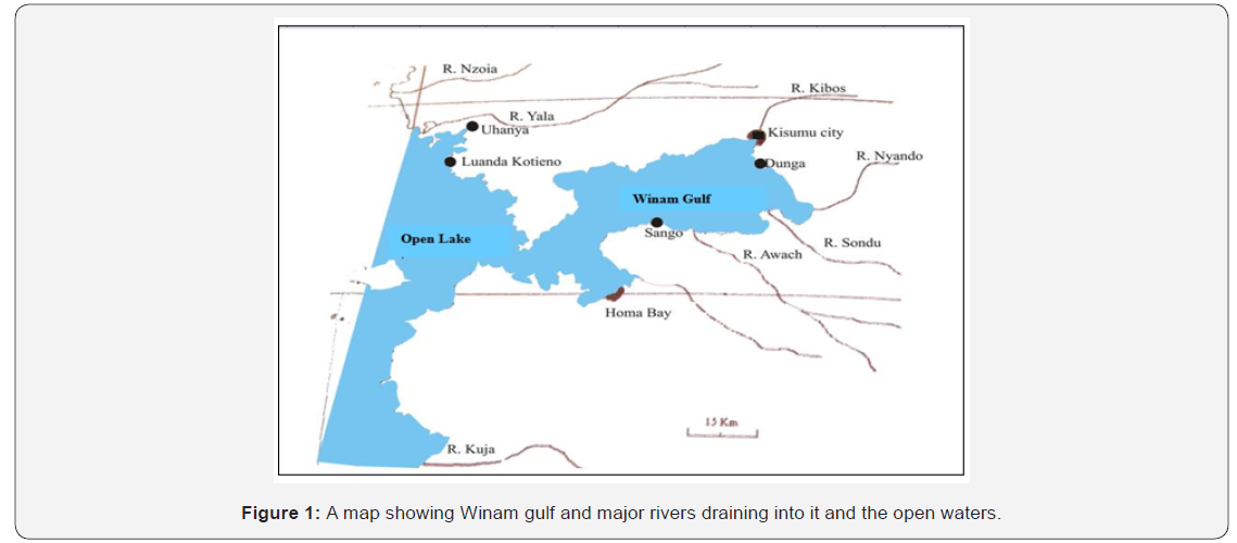 Click here to view Large Figure 1