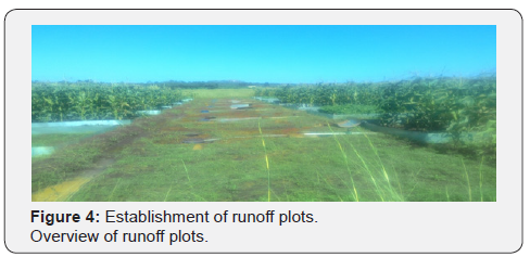 Click here to view Large Figure 4