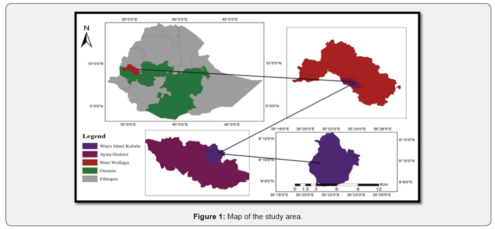 Click here to view Large Figure 1