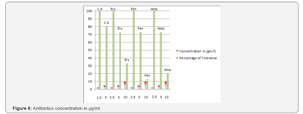Click here to view Large Figure 6