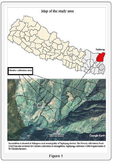 Click here to view Large Figure 1