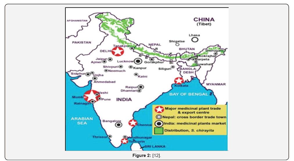 Click here to view Large Figure 2