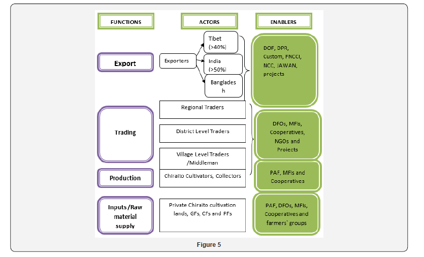 Click here to view Large Figure 5
