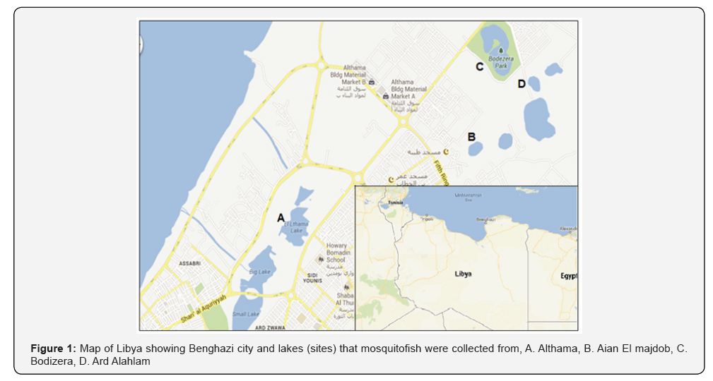 Click here to view Large Figure 1