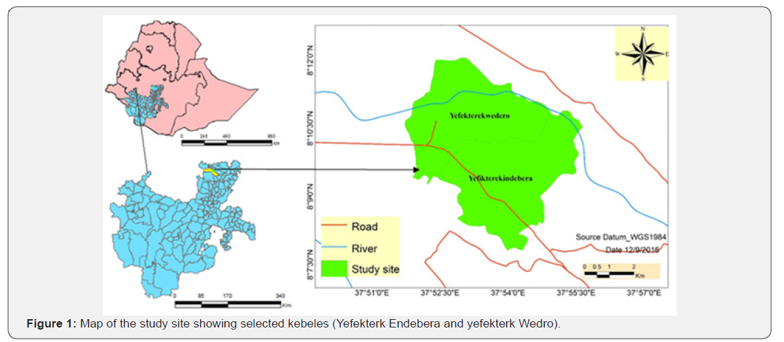 Click here to view Large Figure 1