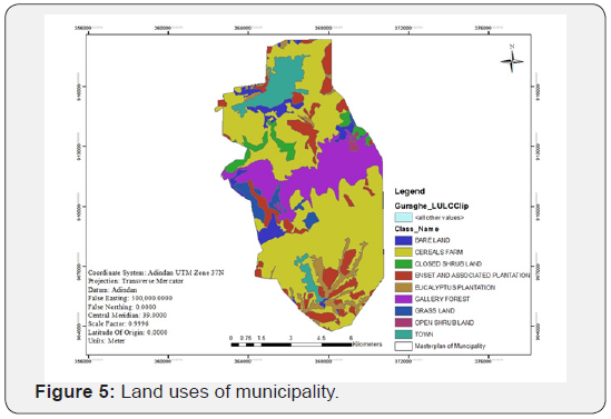 Click here to view Large Figure 5