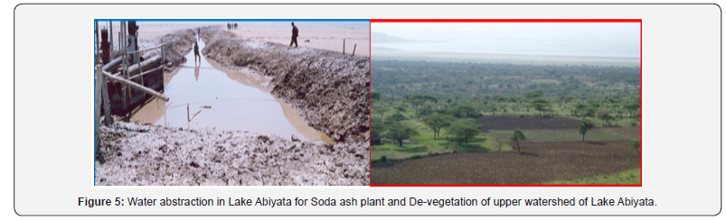 Click here to view Large Figure 5 International Journal of Environmental Sciences & Natural Resources